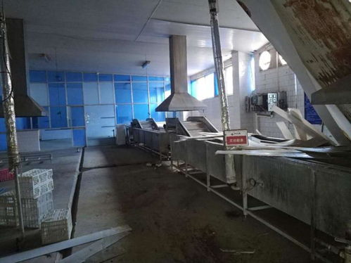 盐城海马食品资产网络拍卖启幕，厂房设备打包2115万起拍引关注